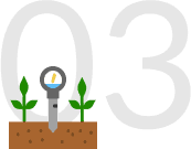 Grow More